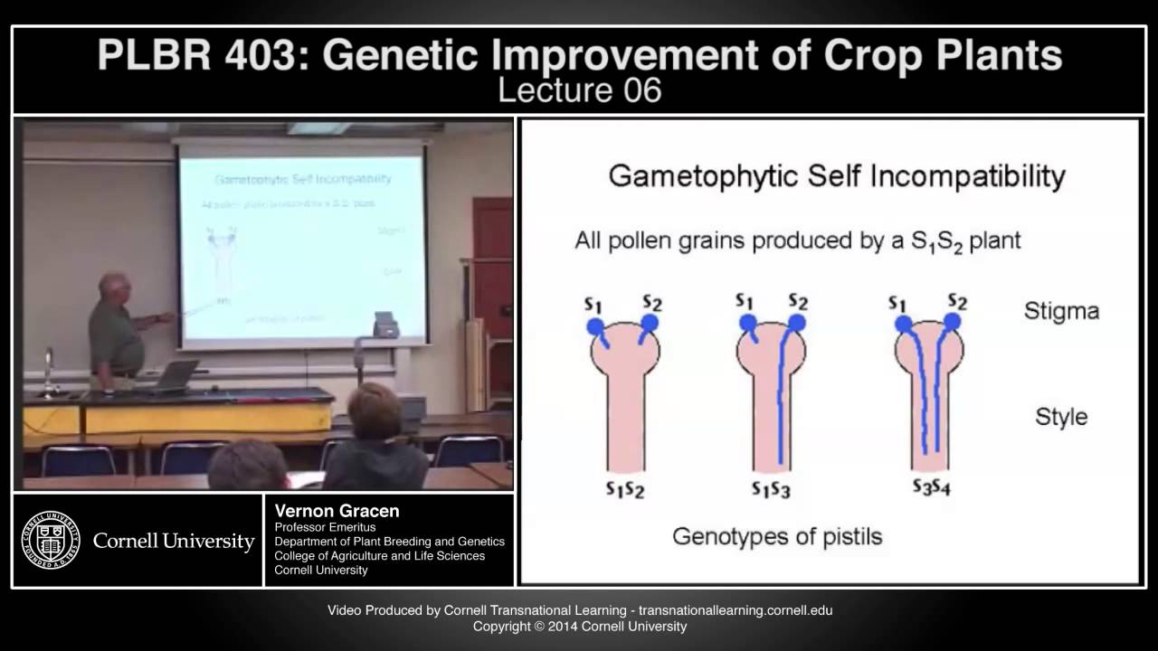 plbr403 - Genetic Improvement of Crop Plants - Lecture 6