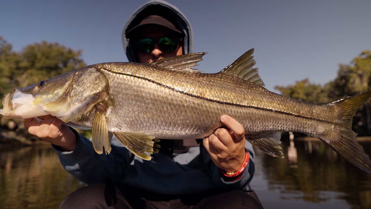 2 дня рыбалки на большую рыбу с приманкой Glide Bait