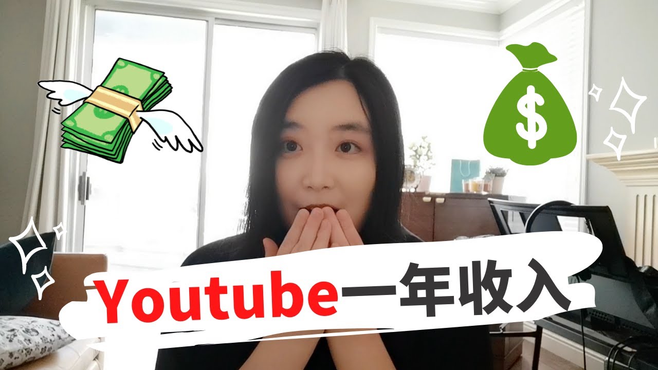 YouTube一年收入大公开！做YouTube一年挣了多少钱？做YouTube能实现财富自由吗？