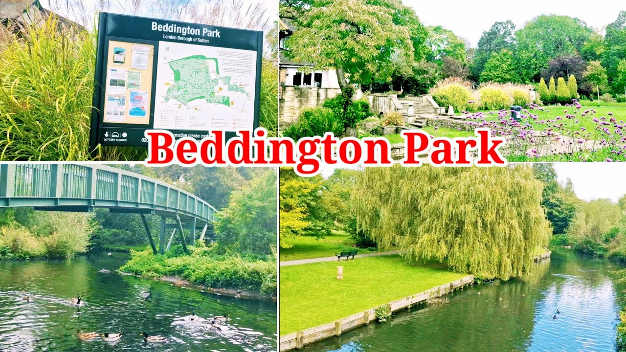 BEDDINGTON PARK ||  River Wandle || Croydon Wallington UK