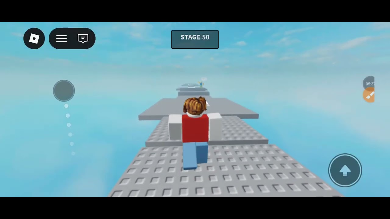 Stereotypical obby \( •o• )/