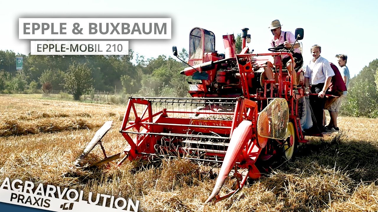 Epple & Buxbum Epple-Mobil 210 • Wheat harvest | Agrarvolution Praxis