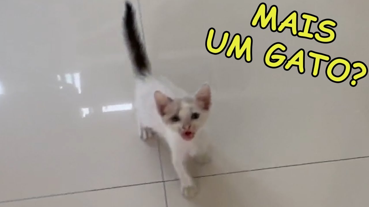 TEM UM NOVO MEMBRO NA NOSSA FAMÍLIA?! - Família Velhote