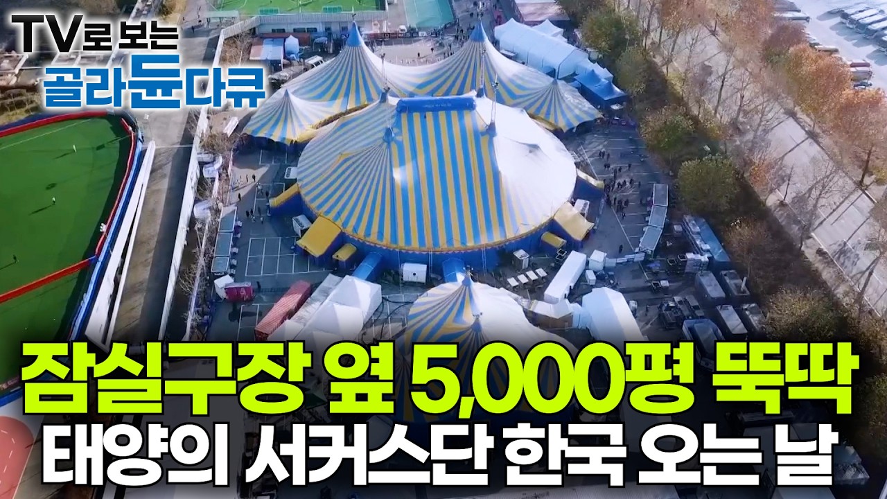 텐트 하나 치는데 일주일. 세계 1위 서커스 공연 뒤에 숨겨진 이야기｜태양의 서커스단 백스테이지｜극한직업｜#골라듄다큐