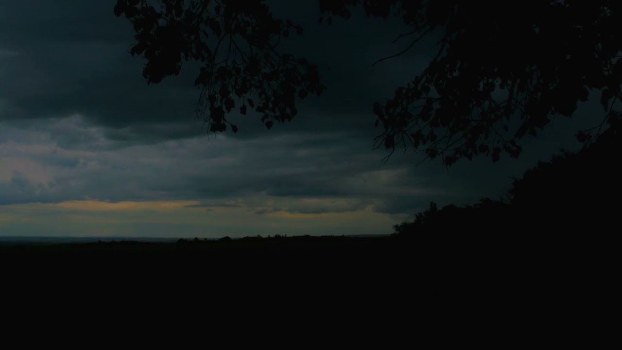 Arseny Tarkovsky - And now summer has left...