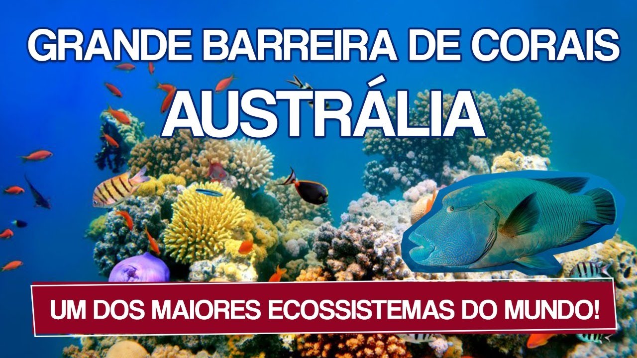 Grande Barreira de Corais da Austrália