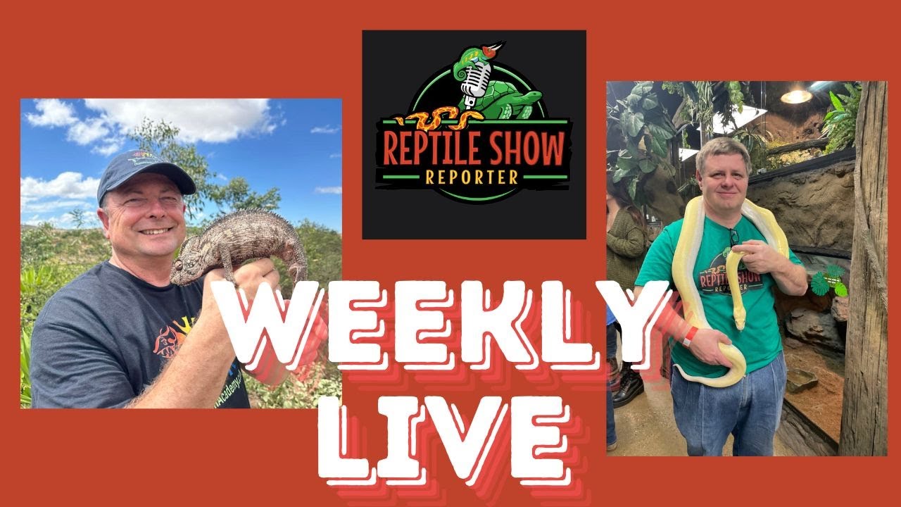 Weekly Live 1st 2026 Show