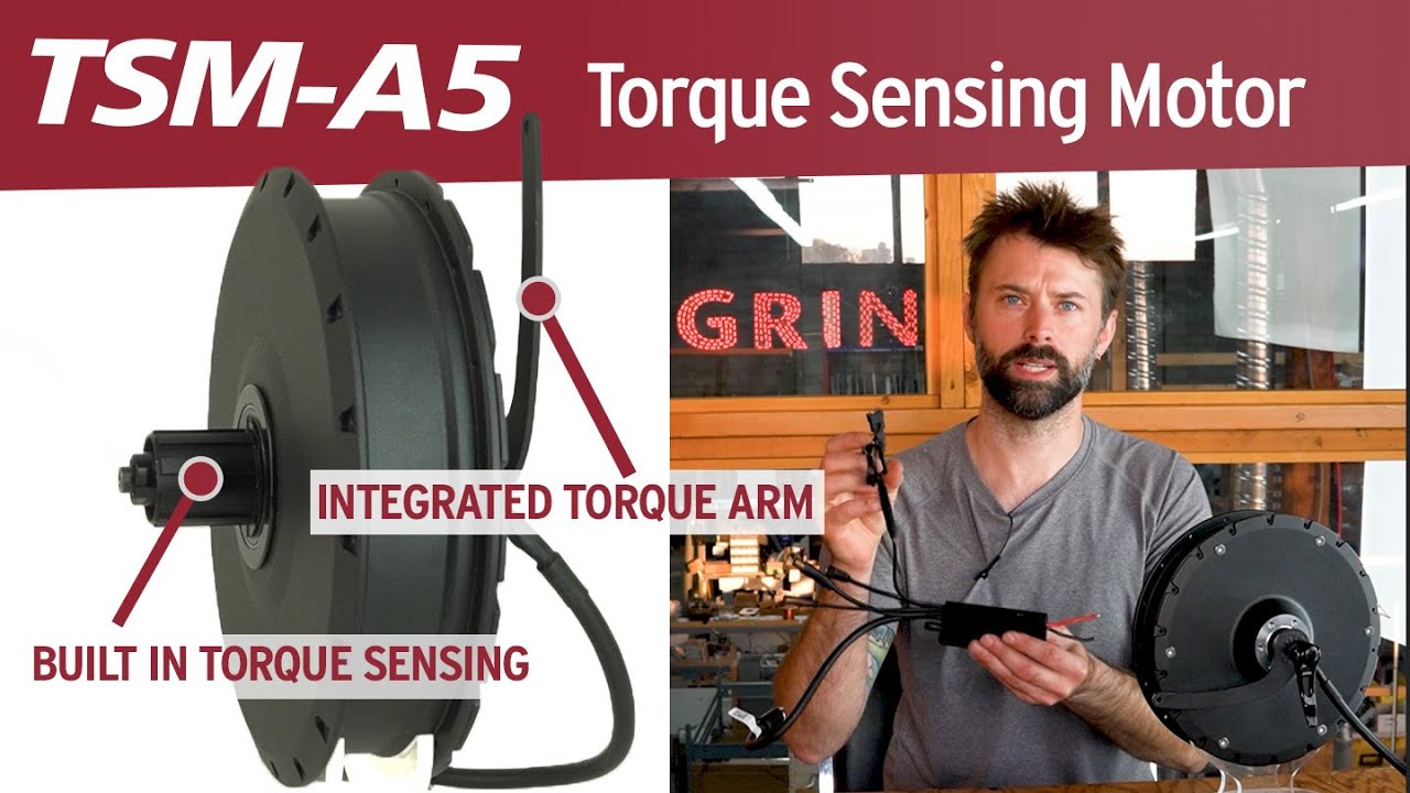 The TSM-A5, a Direct Drive Hub Motor with Integrated Torque Sensor