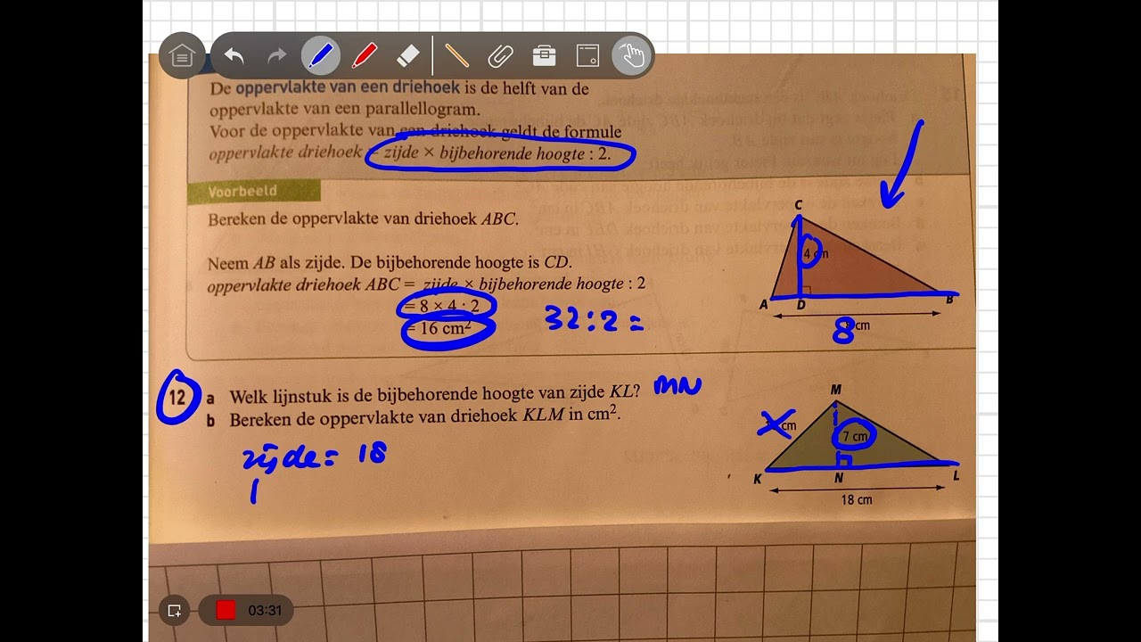 2 kader 3.2 Oppervlakte driehoek