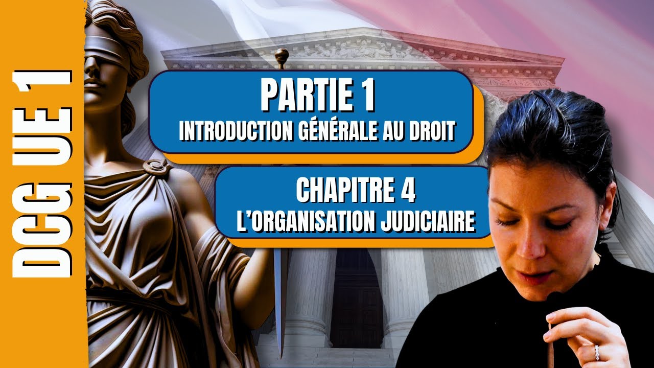 L'ORGANISATION JUDICIAIRE | Cours & explications |  DCG UE1 / L1 Droit