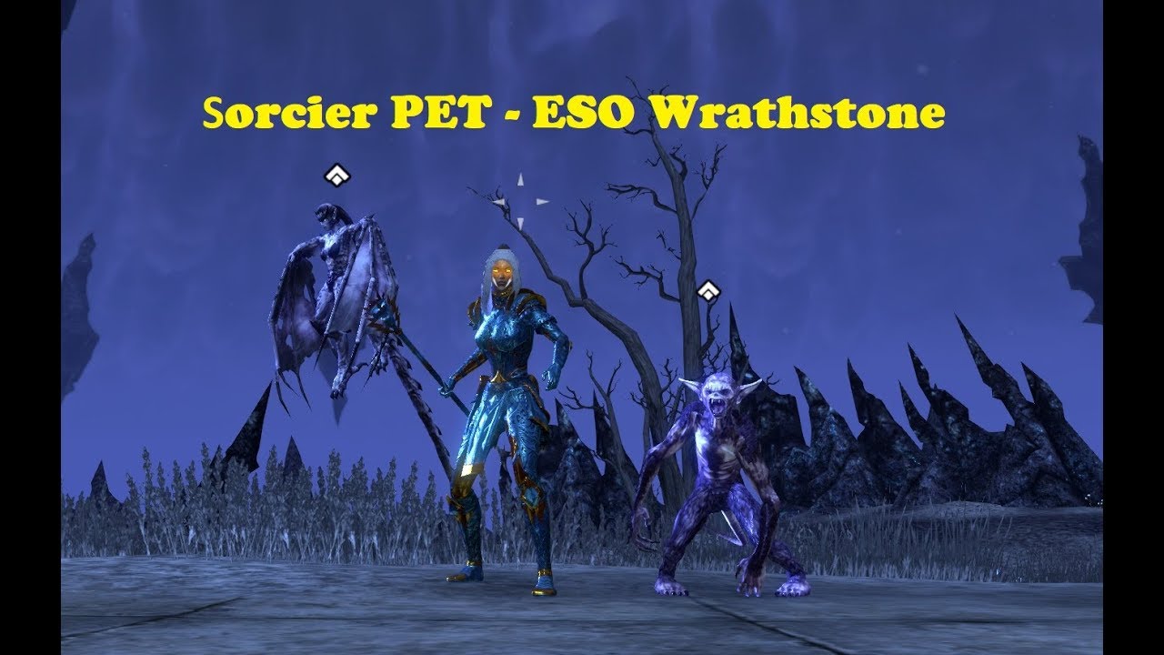 Sorcier PET PVE HL 62.5K DPS - ESO ELSWER