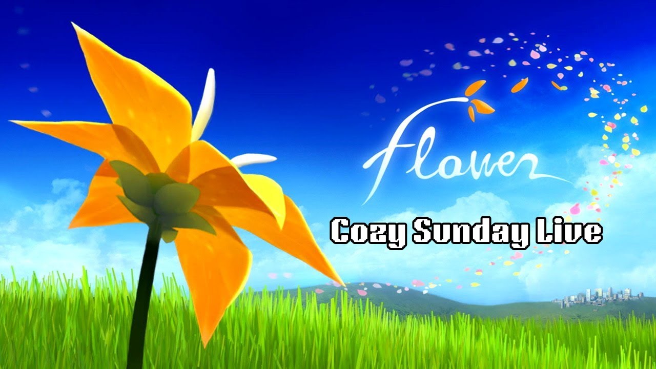 This time is truely cozy || Flower || TGMK