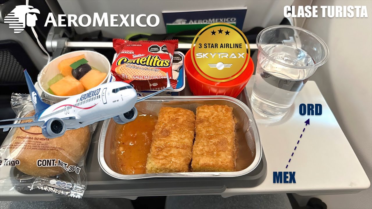 Aeromexico 737 MAX ECONOMY CLASS | Mexico City to Chicago