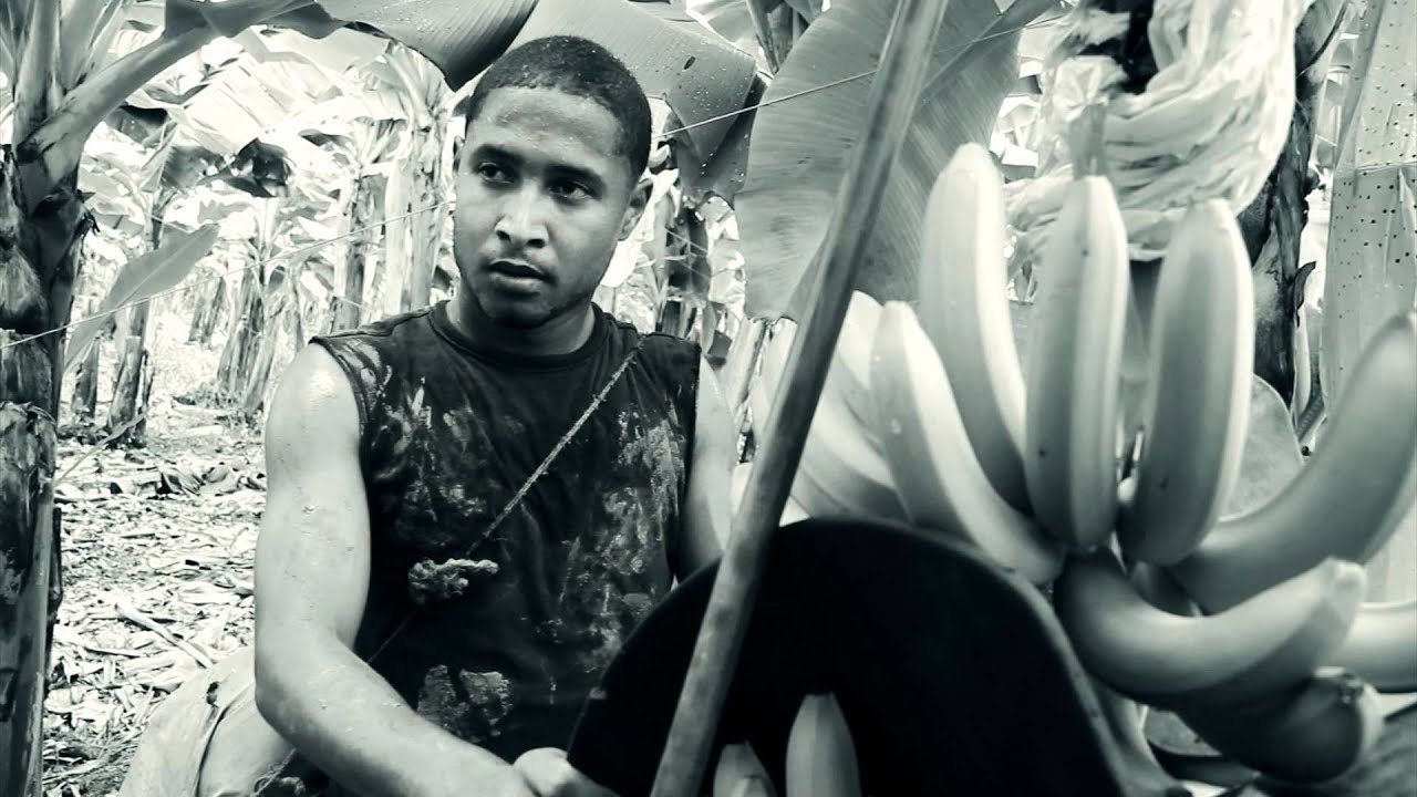 SHEL DIXON - CANSADO