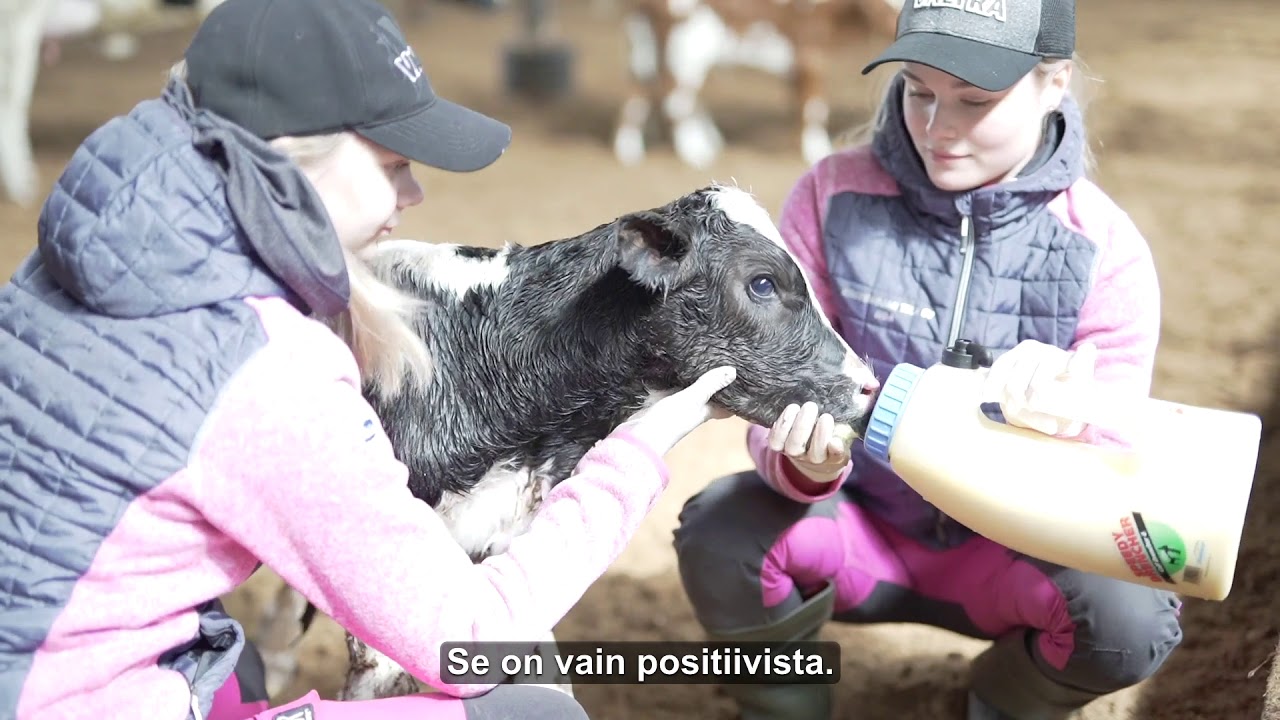 VALTRA KOSKENOJAN MAITOTILALLA -  Suomalaista ruokaa tuotetaan, kotimaiseen merkkiin luotetaan