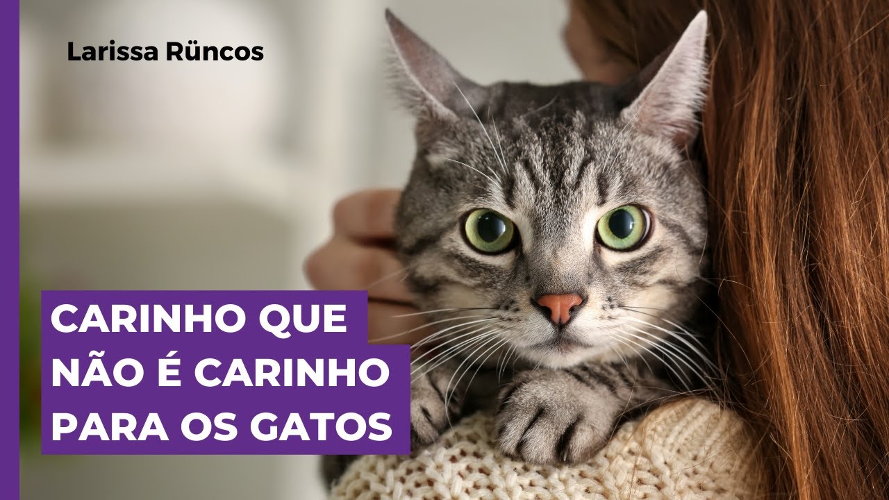 CARINHO QUE NÃO É CARINHO PARA OS GATOS