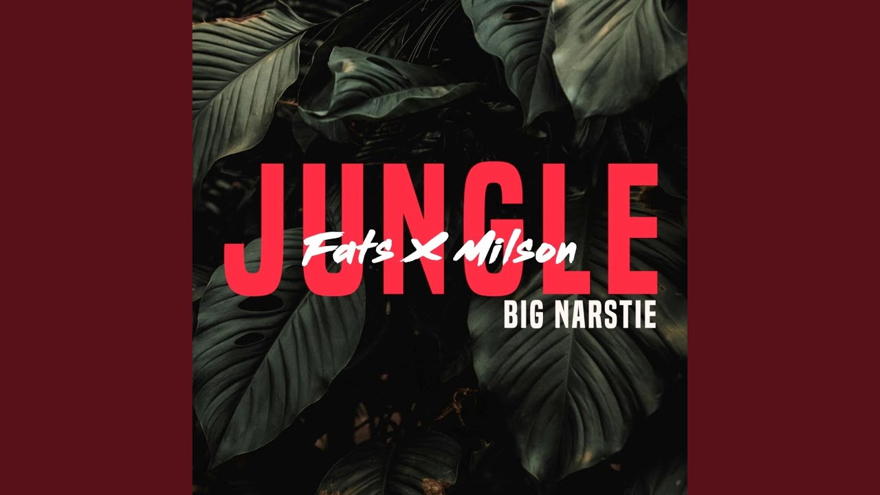 Jungle (feat. Imech)