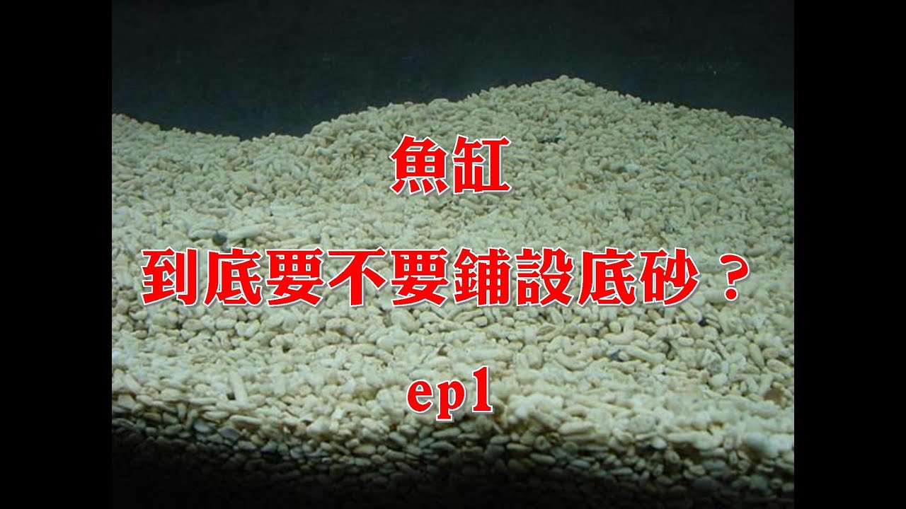 魚缸，到底要不要鋪設底砂？ep1