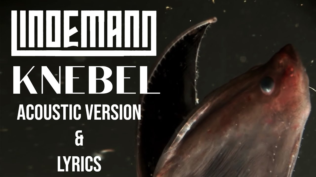 LINDEMANN - Knebel | Acoustic version (English & German subtitles)