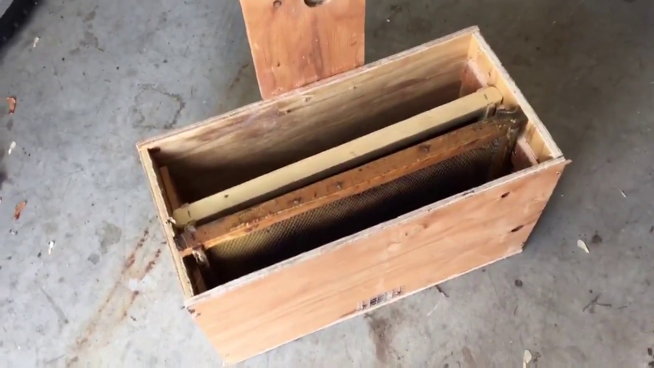 Easy & Cheap Honeybee Swarm Bait Hives