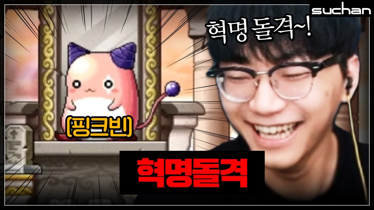 공부 안하고 핑크빈에 머리 박았습니다 혁명돌격!