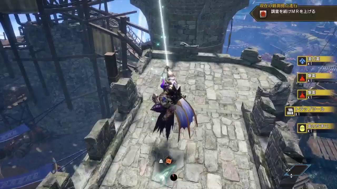 【モンハン】実質わいるず【PS4】
