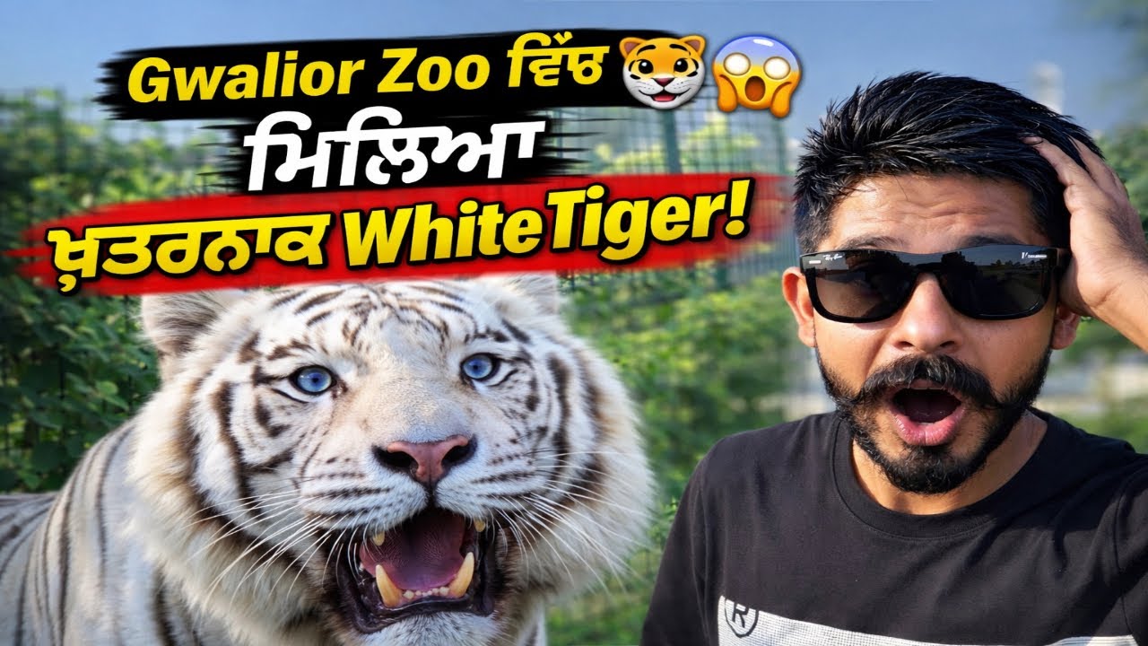 Gwalior Zoo ਵਿੱਚ ਮਿਲਿਆ ਖ਼ਤਰਨਾਕ White Tiger! 🐯 | Full Zoo Tour