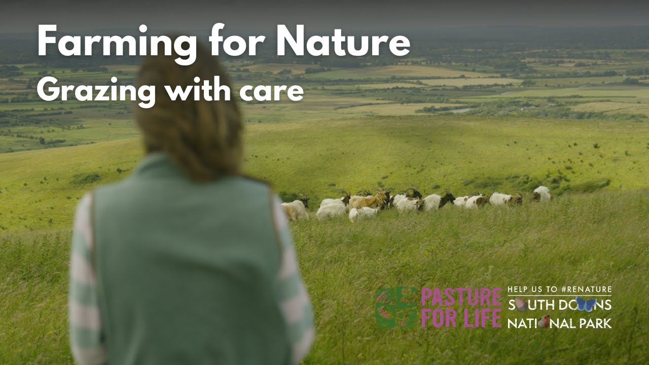 Farming with Nature: Grazing with care
