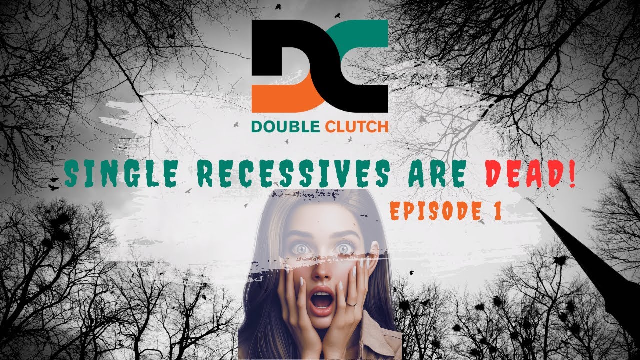 Double Clutch Episode 1 - Single Recessives are DEAD!