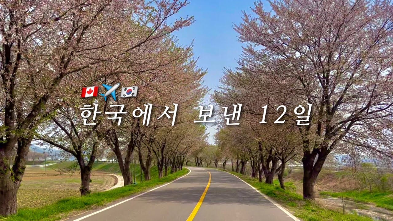 몬트리올을 떠나 갑작스럽게 한국에 다녀온 일상