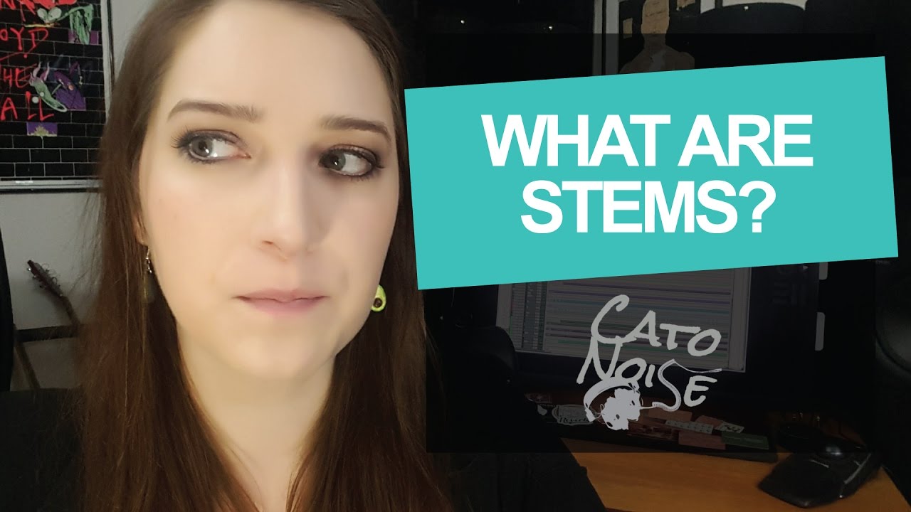 Audio Engineering Basics: What Are Stems?