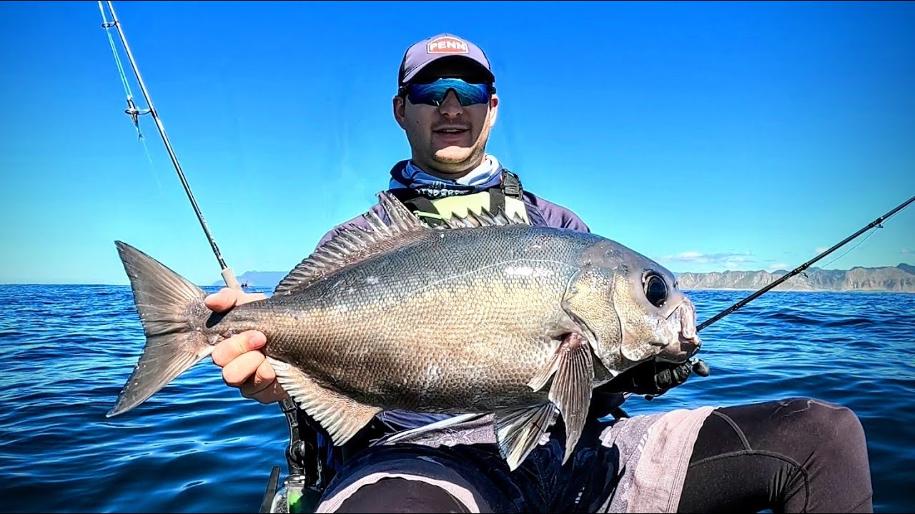 Kayak Fishing the Rugged Wairarapa for Bluenose