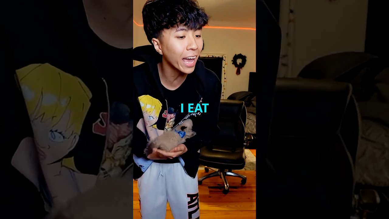 Ray Instantly Got Disappointed After Introducing His New Cat 💀😭