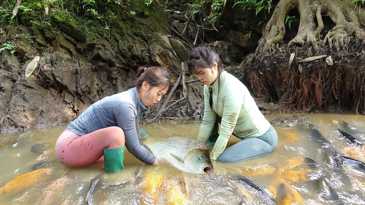 Amazing Fishing on the Water Leads, Two Young Girl Harvest a Lot of Fish Use A Large Capacity Pump