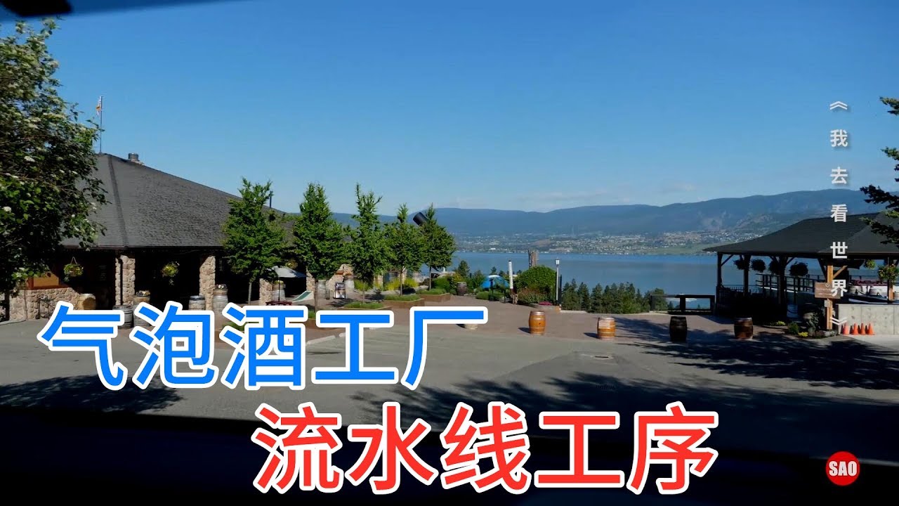 加拿大19集：实拍气泡酒工厂，从流水线到装瓶，一瓶酒有那么多讲究