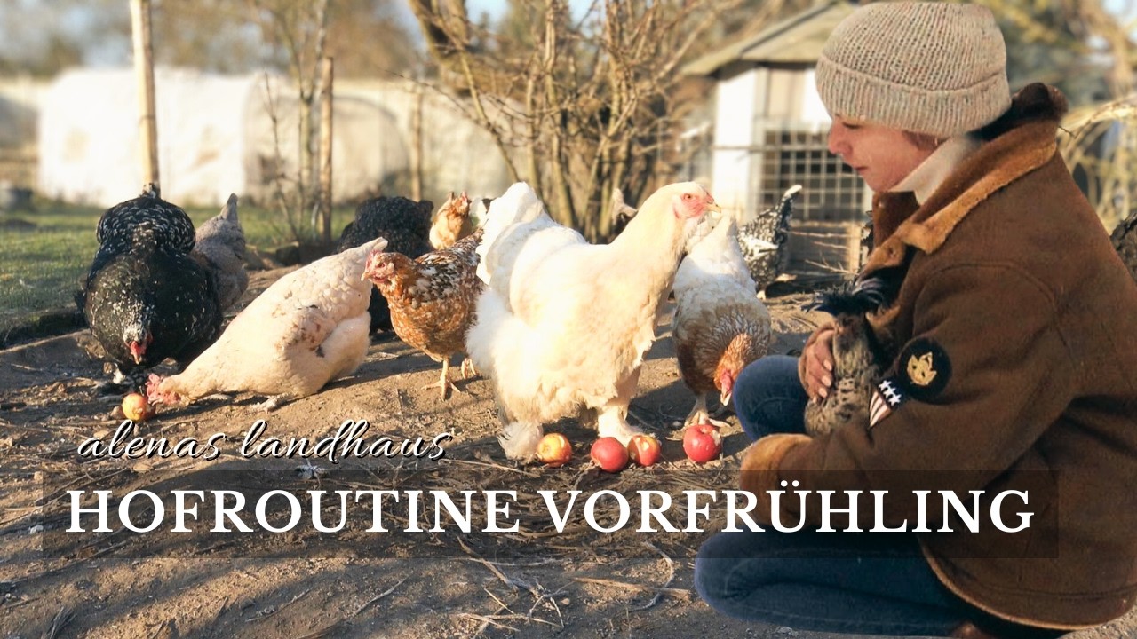 Ein ruhiger Morgen mit den Hühnern | Mein Hofalltag im Vorfrühling