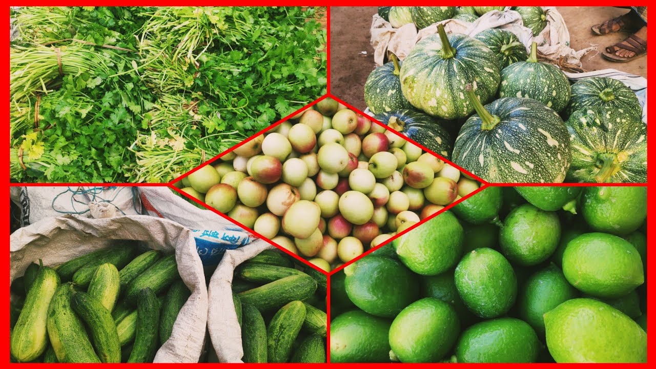 ১৫,মার্চ শাক সবজির ও লেবুর জন্য বৃহত্তম পাইকারি বাজার কুতুবপুর বাজার সখিপুর টাঙ্গাইল বিস্তারিত 