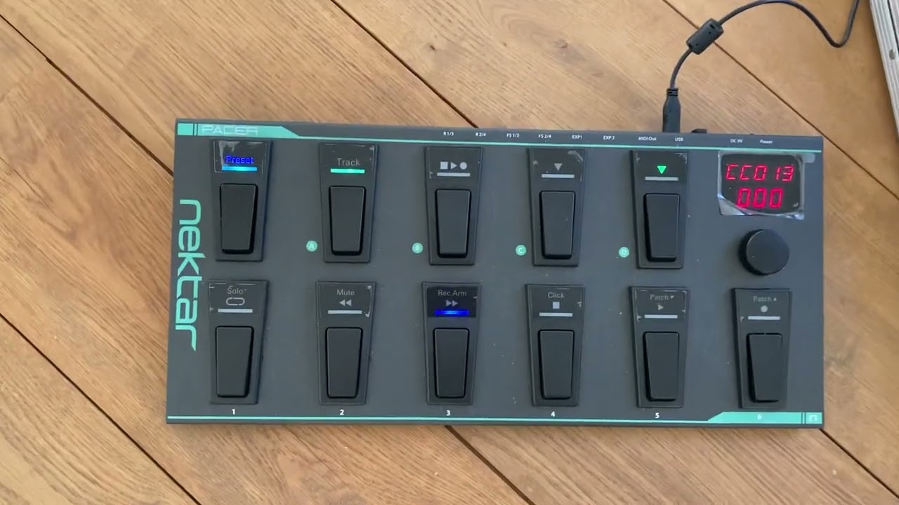 Hardware pedals and Loopstation RC-300 vs Loopy Pro software acoustic guitar looping