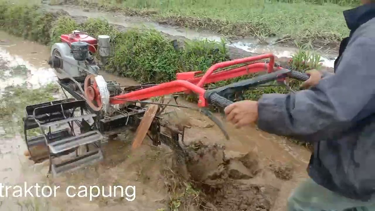 menyikal  tiga petak sawah kebut sekejap oleh traktor capung
