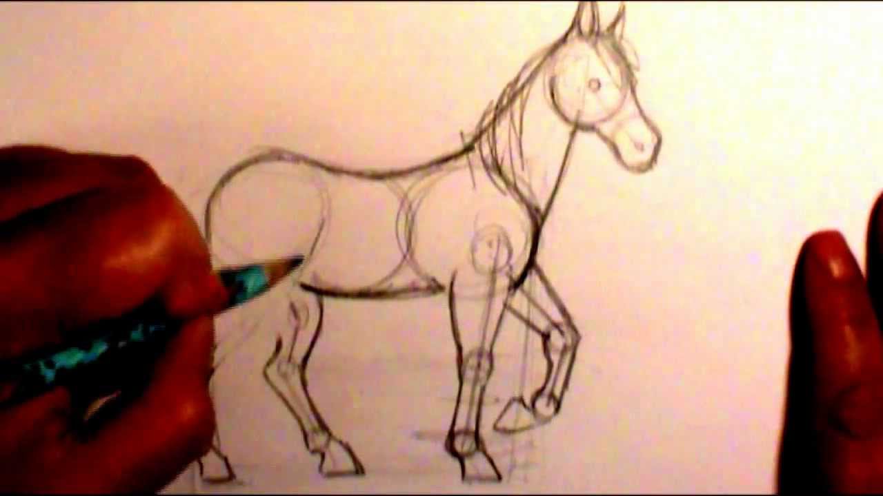 How to draw a horse body  (contest is closed)