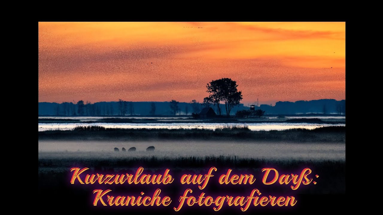 Kurzurlaub Zingst und Kraniche fotografieren