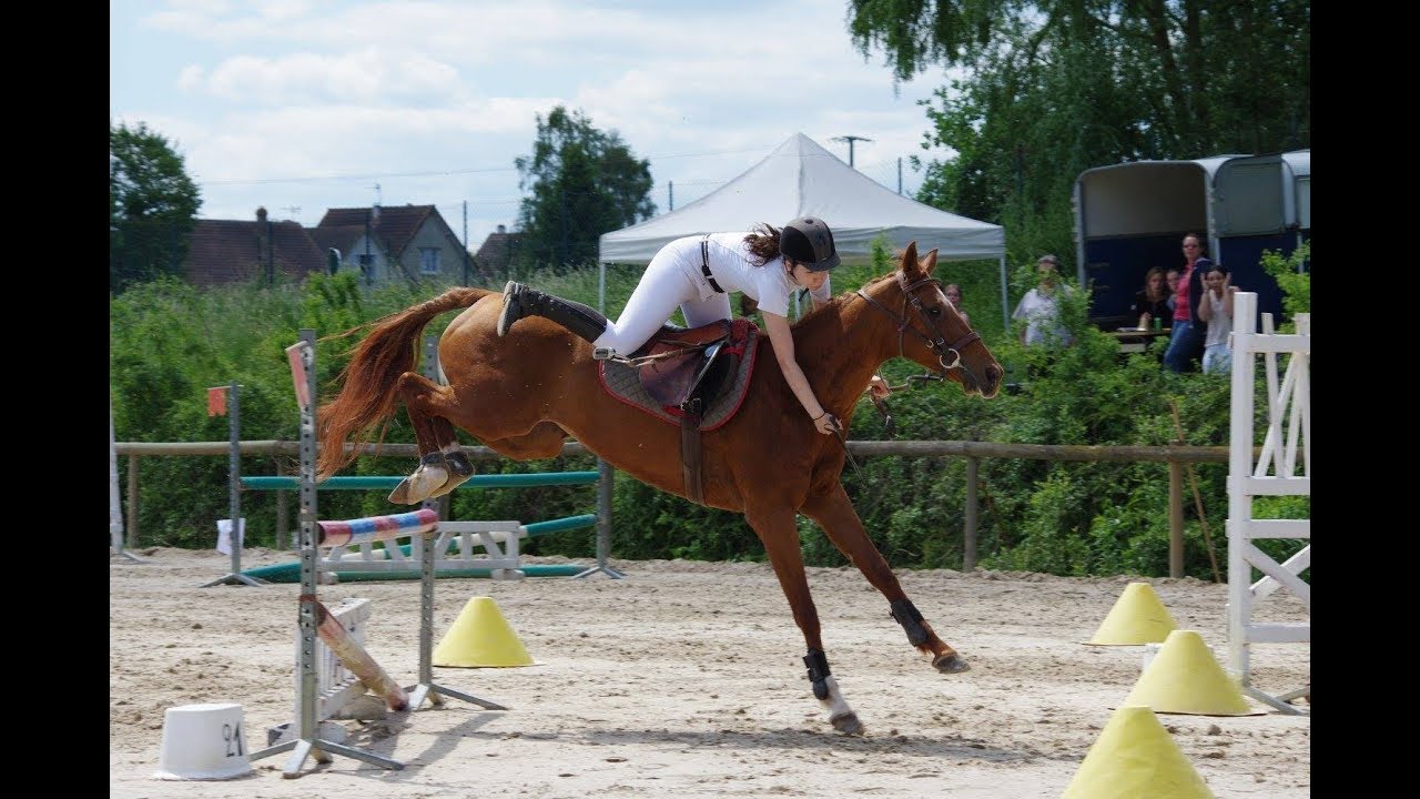 Bêtisier 2016-2017