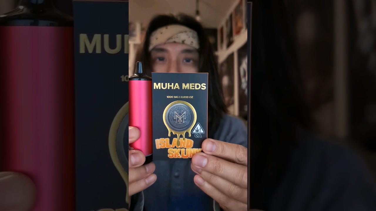 Blinkin a Muha