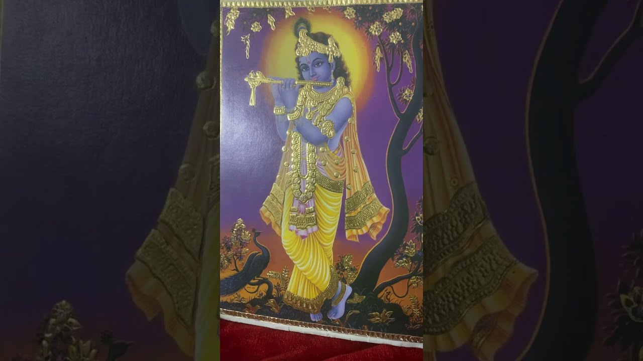 साईं कृपा  लाइव है!