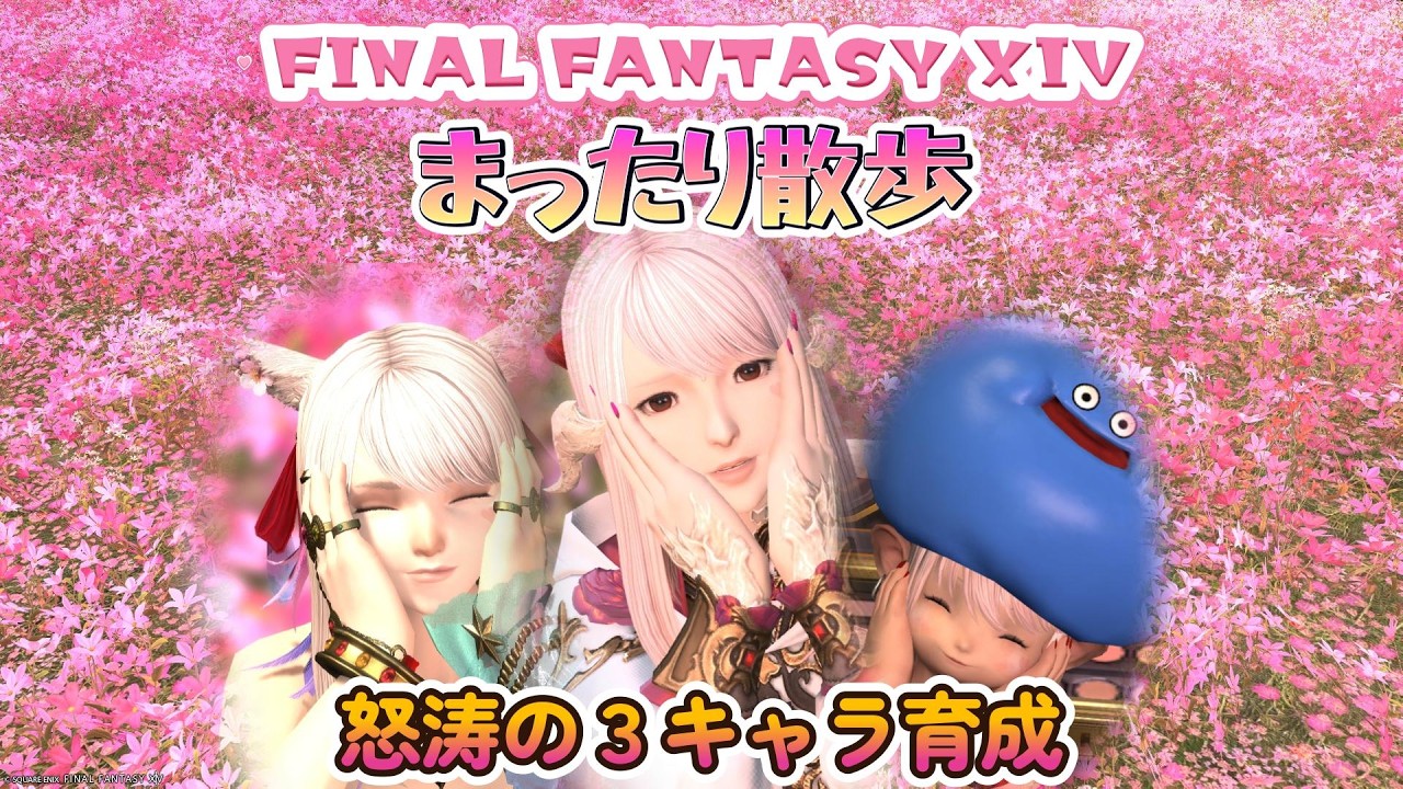 【FF14】3/9 まったり散歩 怒涛の3キャラ育成 アウラ ララフェル ミコッテ  #FF14 #FFXIV #まったり