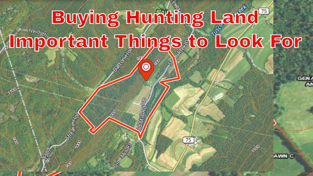 Buying Hunting Land? Here's What You NEED to Know First