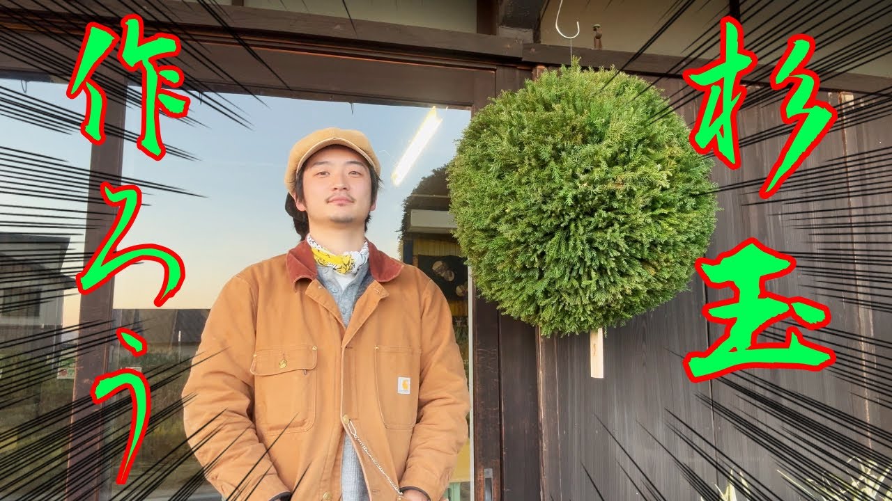 #日本酒 #酒蔵 【吉田屋】杉玉をつくろう【つくってみた】