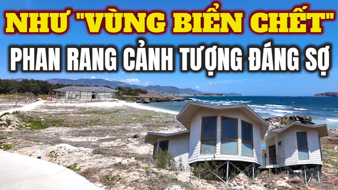 GHÊ QUÁ KHÔNG CÓ AI, NHƯ 