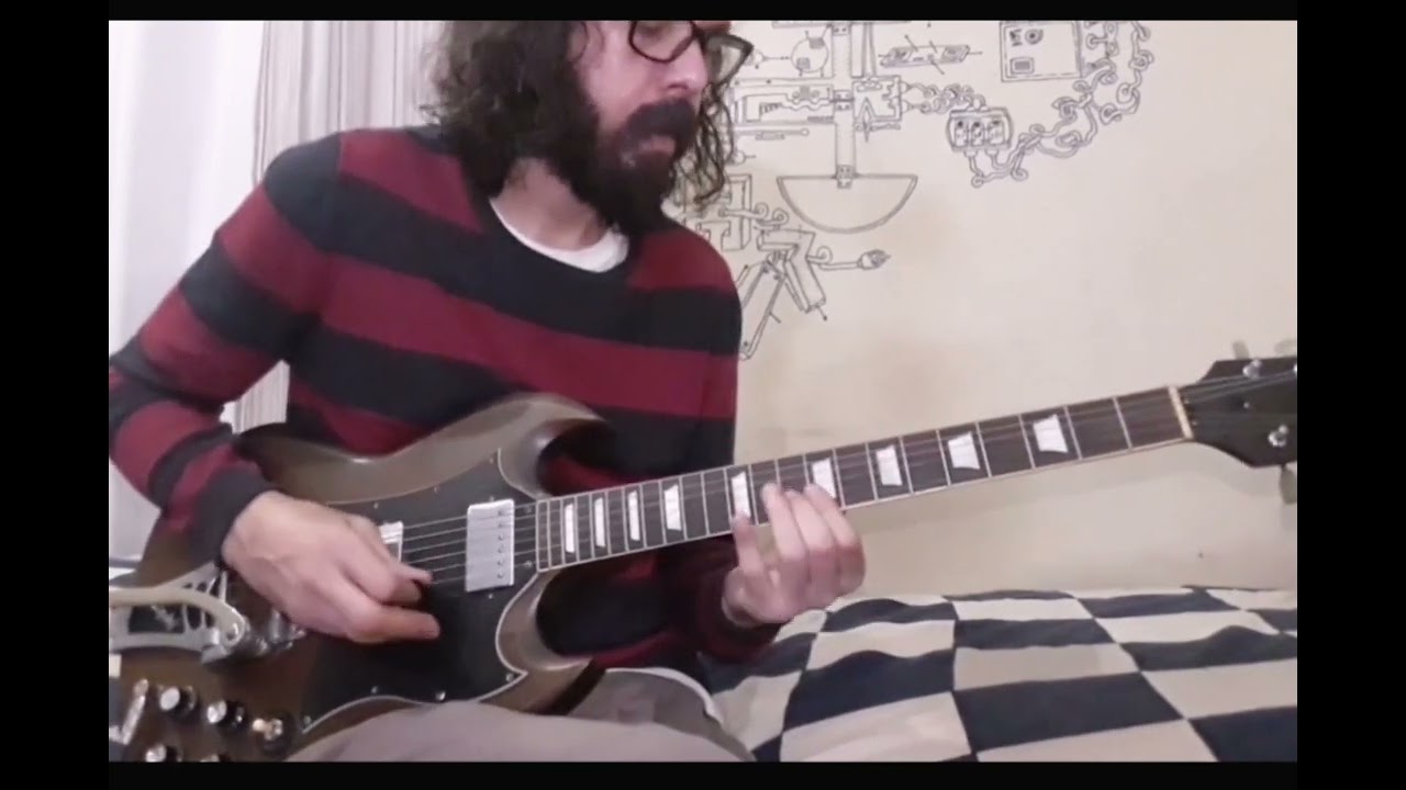 Echidna's Arf (of you) - Frank Zappa (guitar cover)