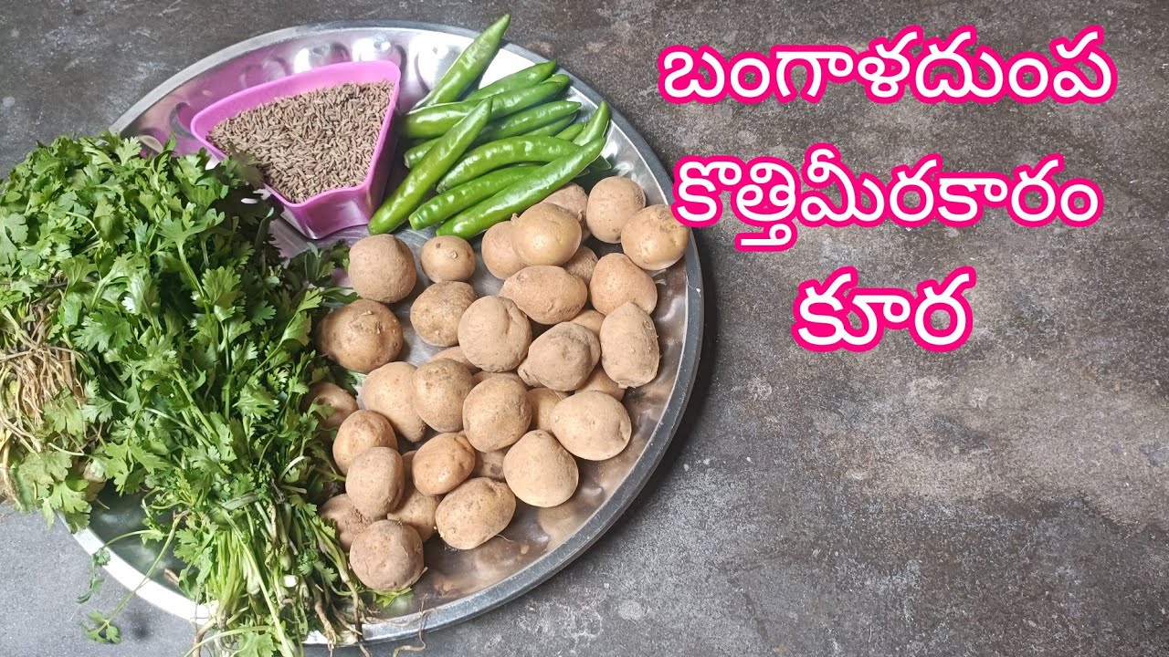 #చిన్నచిన్నబంగాళదుంపలతో(ఆలూ)కొత్తిమీరకారంపెట్టినకూర#BabyPotatoswithCorianderChilliGreavyCurry.